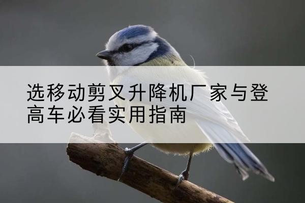 荣成电动升降机厂家-选移动剪叉升降机厂家与登高车必看实用指南