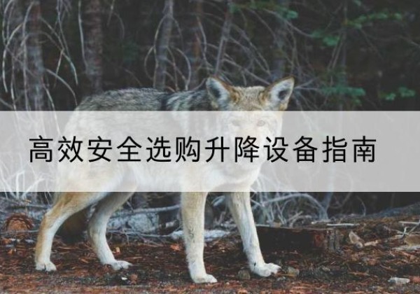 荣成升降货梯厂家推荐-*安全选购升降设备指南