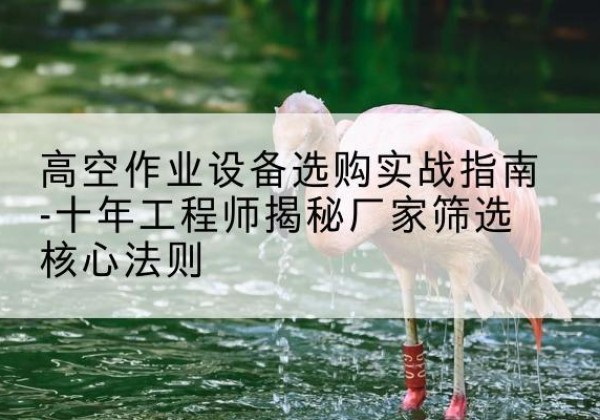 荣成剪叉式升降机厂家-高空作业设备选购实战指南-十年工程师揭秘厂家筛选核心法则